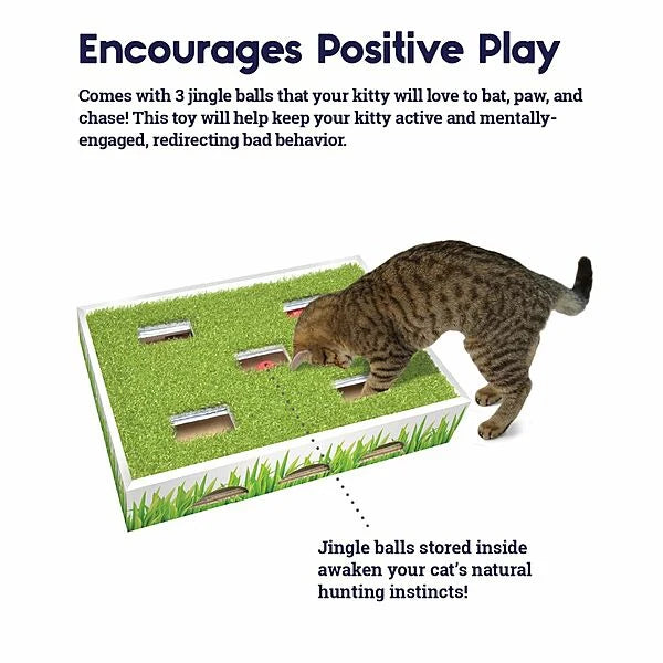Petstages® Grass Patch Hunting Box
