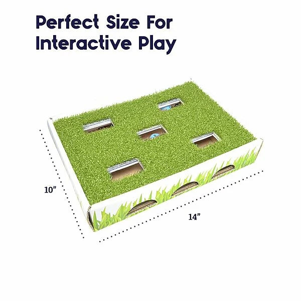 Petstages® Grass Patch Hunting Box