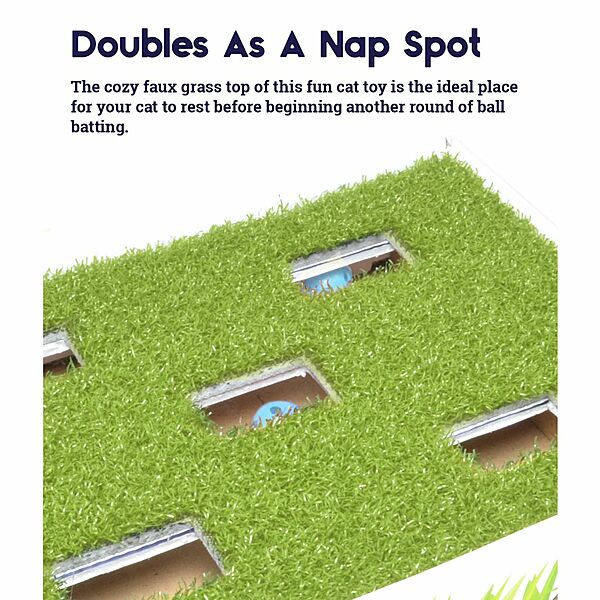 Petstages® Grass Patch Hunting Box
