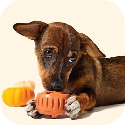 Woof Autumn Pumpkin Pupsicle Enrichment Toy