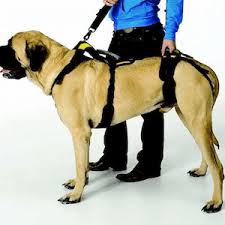 Help Em Up Extra Large Conventional Harness 125 - 225lbs