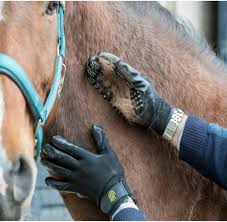 HandsOn Black Grooming Gloves