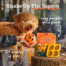 Woof Autumn Pumpkin Pupsicle Enrichment Toy