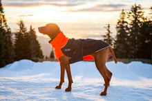 Chilly Dogs🍁 Blaze Orange Standard Great White North