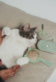 Dexypaws Purrfect Massage Cushioned Cat Brush