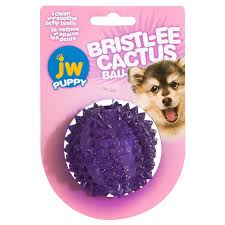JW Bristl-ee Cactus Ball Puppy Chew Toy