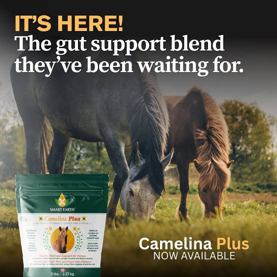 Smart Earth 🍁Camelina Plus Gastric Wellness Support for Horses 2.27kg