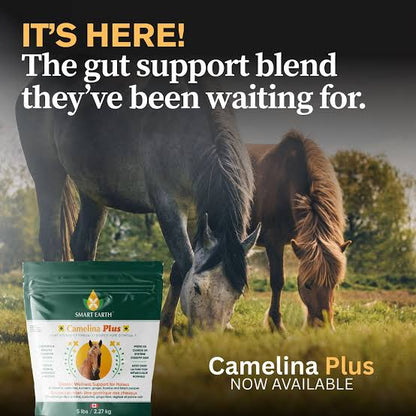 Smart Earth 🍁Camelina Plus Gastric Wellness Support for Horses 2.27kg