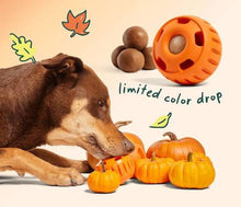 Woof Pupsicle Autumn Pumpkin