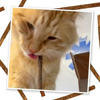 Meowijuana Frosticles
