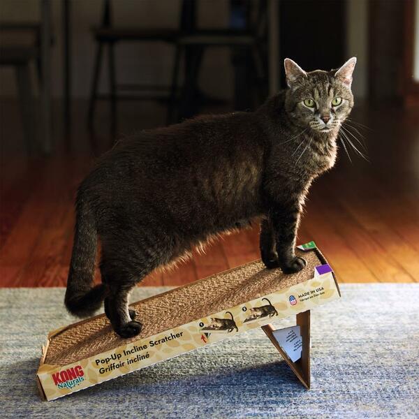 Kong Naturals Pop Up Incline Scratcher with Catnip