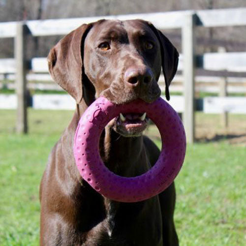 GOAT Rubber Rings for Dogs