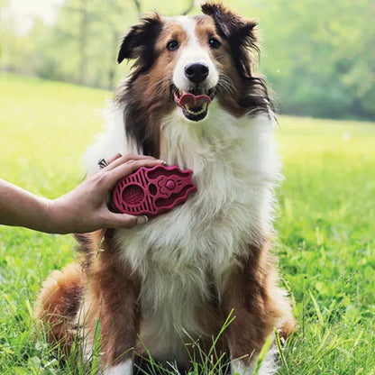 Kong Zoom Groom Raspberry