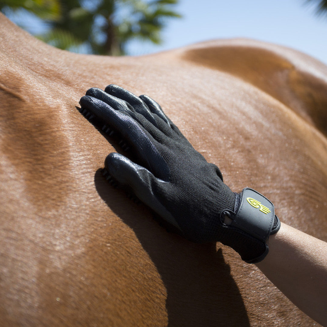HandsOn Black Grooming Gloves