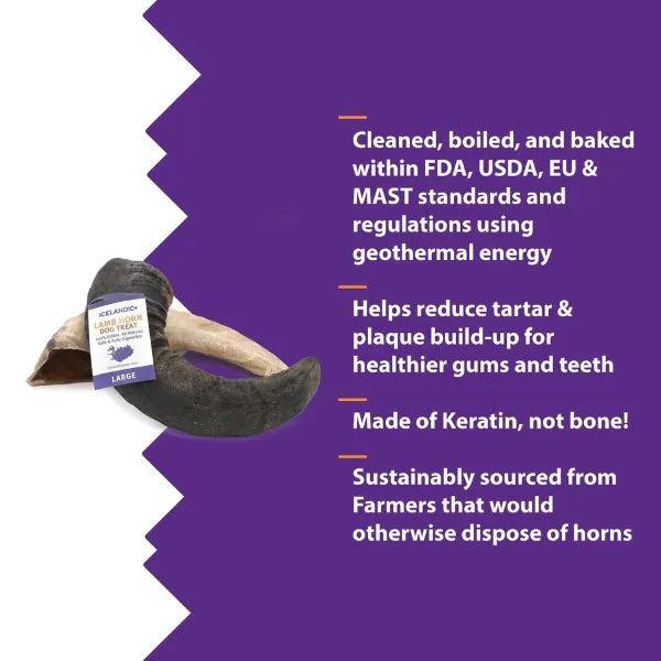 Icelandic+ Lamb Horn