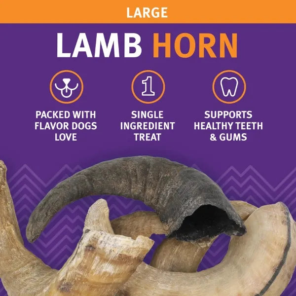 Icelandic+ Lamb Horn