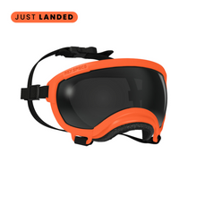 Rex Specs V2 Appalachian Orange Goggles for Dogs