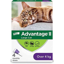 Elanco Advantage II Large Cats over 4kg