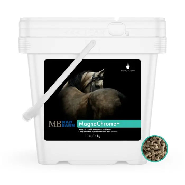MadBarn 🍁MagneChrome+ Metabolic Support for Horses 5kg