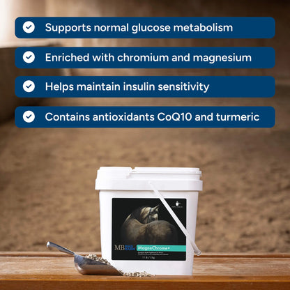 MadBarn 🍁MagneChrome+ Metabolic Support for Horses 5kg