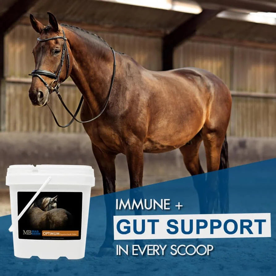 MadBarn 🍁Optimum Digestive Health