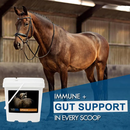 MadBarn 🍁Optimum Digestive Health