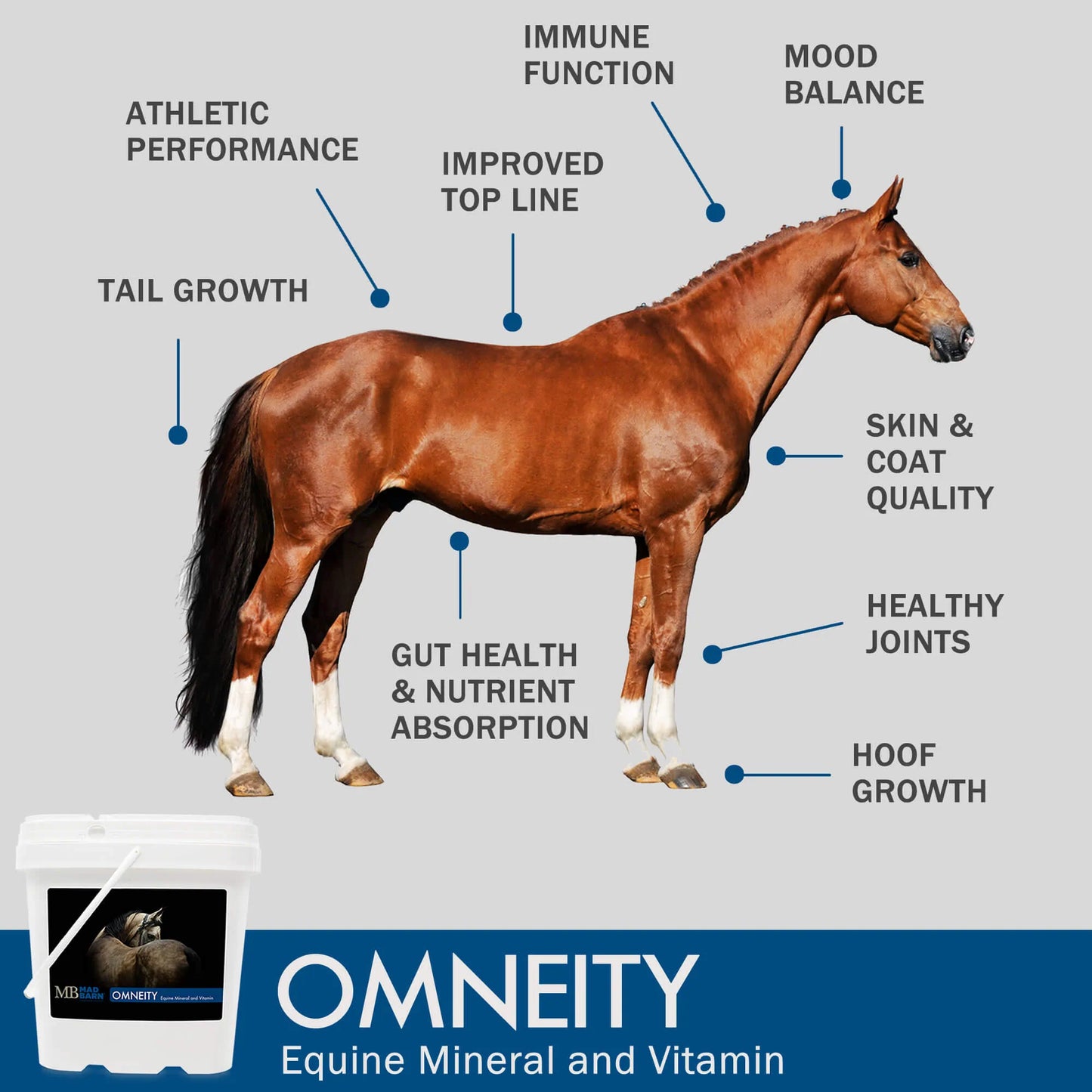 MadBarn 🍁Omneity Equine Mineral & Vitamin Premix