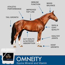 MadBarn 🍁Omneity Equine Mineral & Vitamin Premix
