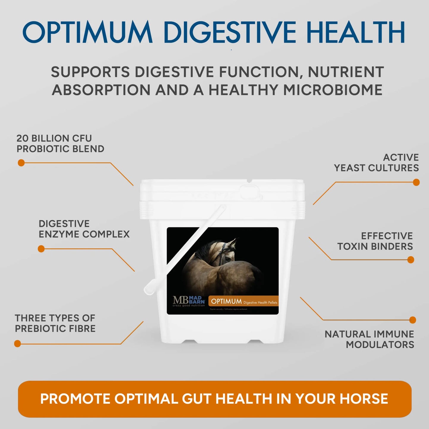 MadBarn 🍁Optimum Digestive Health