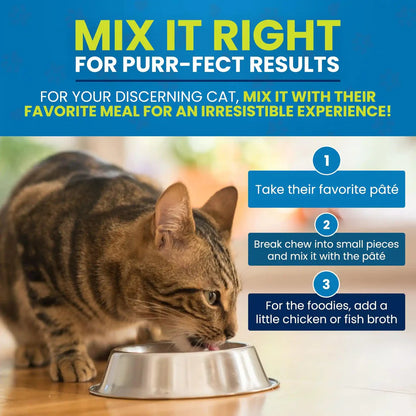 Cymbia🍁Oral Care+ Dental Cat Supplement - 70 Chews