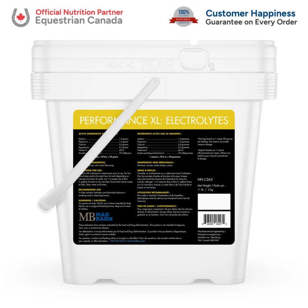 MadBarn 🍁Performance XL: Electrolytes