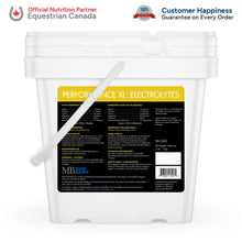 MadBarn 🍁Performance XL: Electrolytes