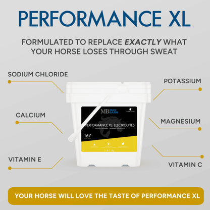 MadBarn 🍁Performance XL: Electrolytes