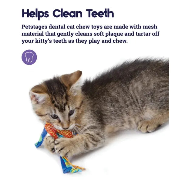 Petstages Catnip Dental Chew Toy 2 pack