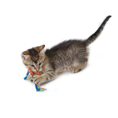 Petstages Catnip Dental Chew Toy 2 pack