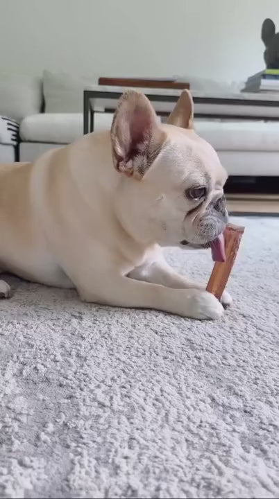 Wag & Bright Mighty Marrows Bacon Collagen Dental Chew for Dogs