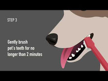 Wellmark 🍁Dental Wipes 50 Ct