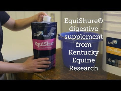 KER Equishure for Hindgut Health