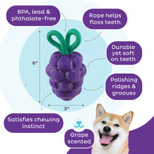 Outward Hound Grape Treat Dispenser