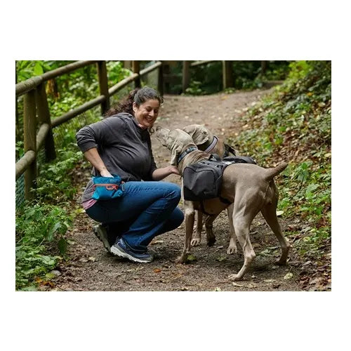 RC Pets🍁 Heather Black Quick Grab Treat Bag