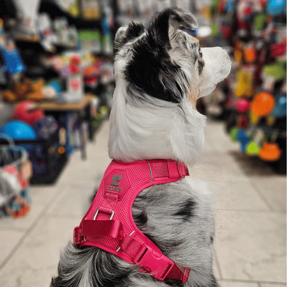 RC Pets🍁 Azalea Momentum Control Harness