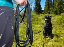 RC Pets 🍁 Black Training Leash 3/4"