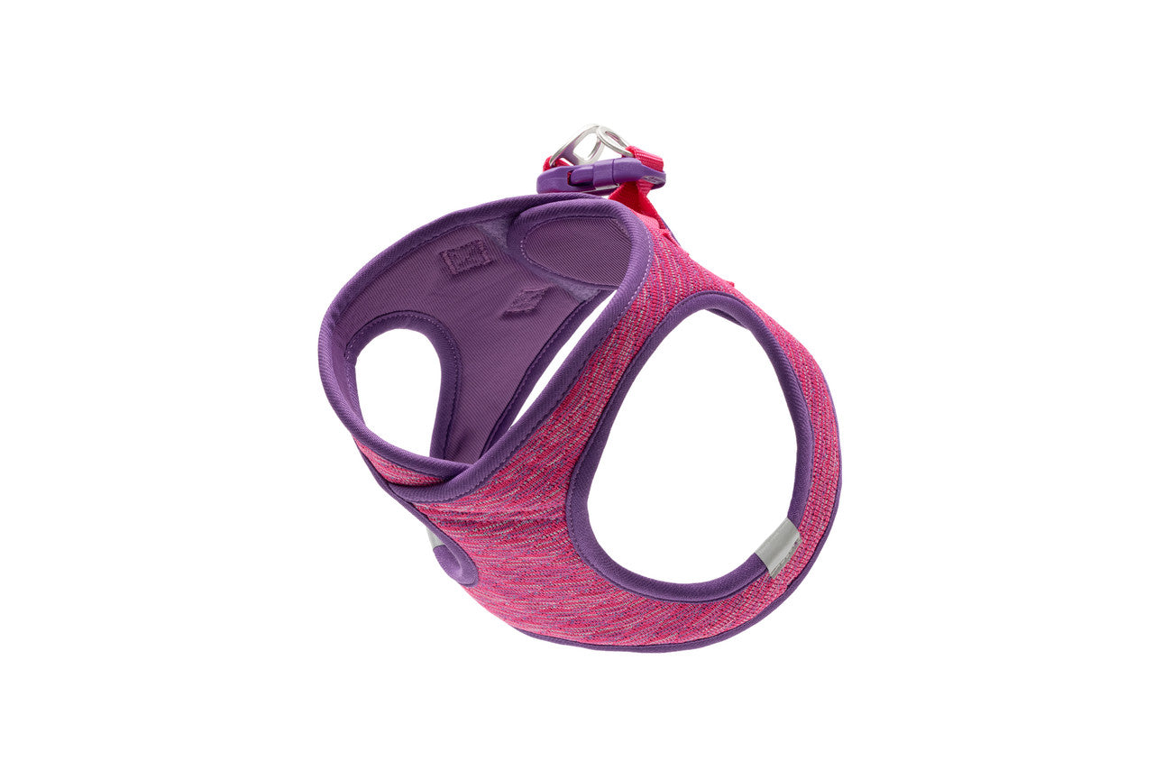 RC Pets 🍁Azalea Evolution Step-in Harness