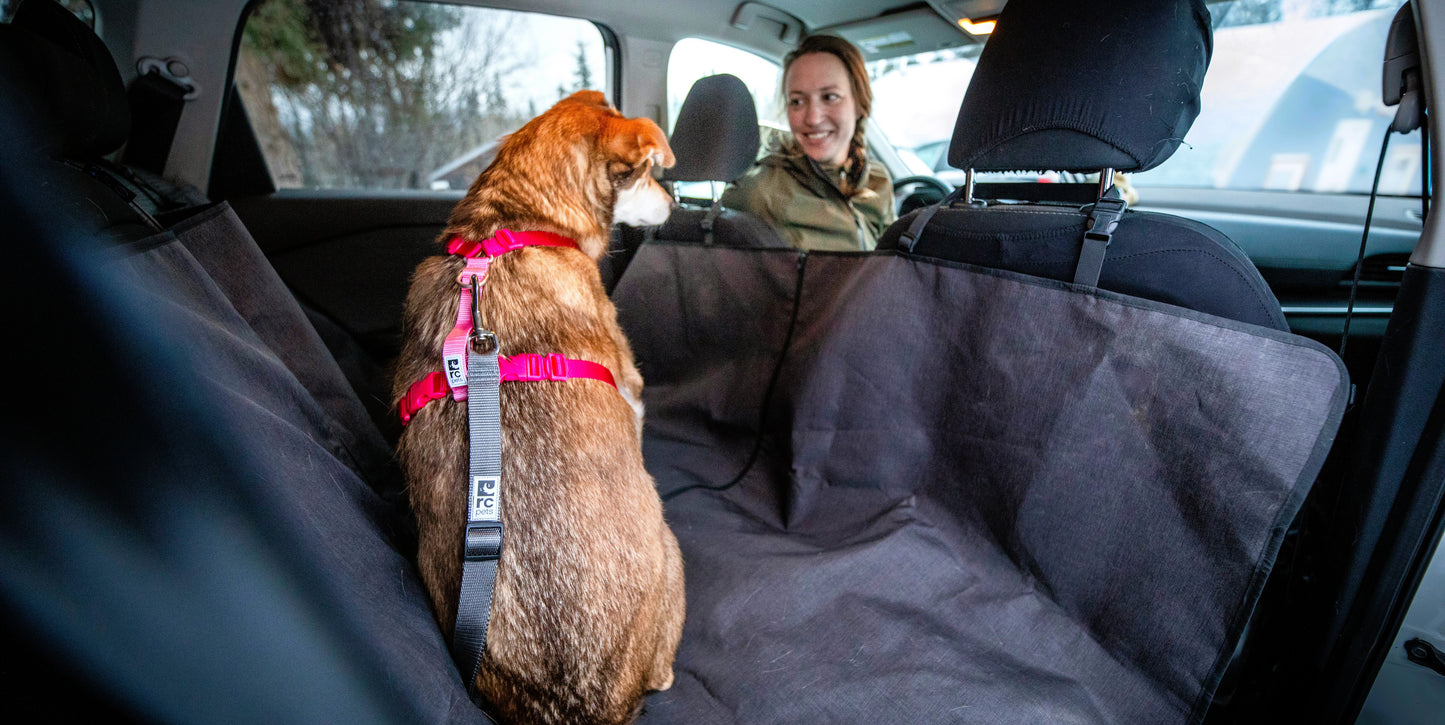 RC Pets 🍁Red Sit Tight Tether