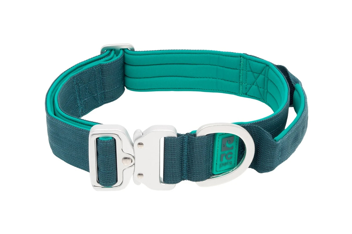 RC Pets 🍁Teal Stratus Collar