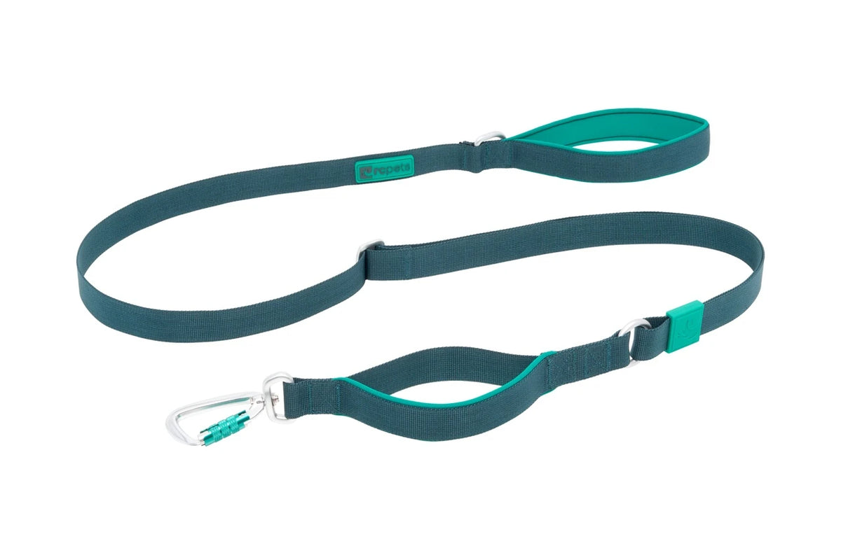 RC Pets 🍁 7ft Teal Stratus Leash