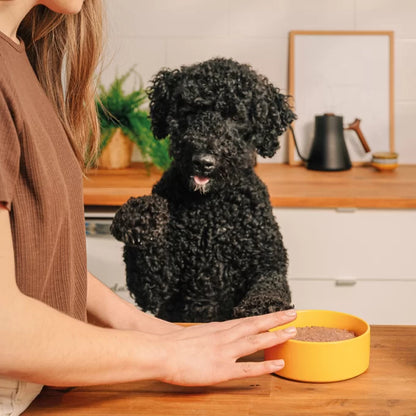 Faim Museau 🍁Chicken & Turkey Can Be Cooked For Dogs & Cats