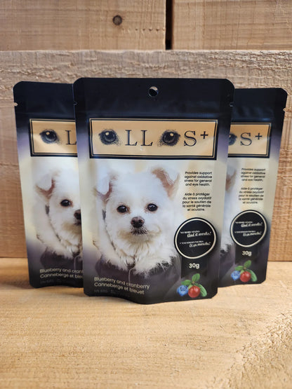 Ollos 🍁Eye Care Powder with Blueberry & Cranberry
