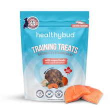 Healthybud 🍁Salmon Mini Training Treats with Superfood 184g