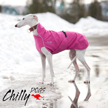Chilly Dogs🍁 Pink Northern Blazer with Harness Hole